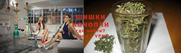 гашик Горно-Алтайск