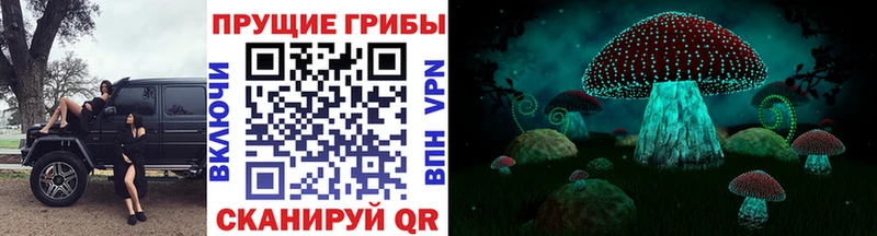 Псилоцибиновые грибы MAGIC MUSHROOMS  сайты даркнета Telegram  Таганрог 