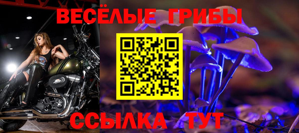 Галлюциногенные грибы Magic Shrooms  Вход с VPN  Таганрог 
