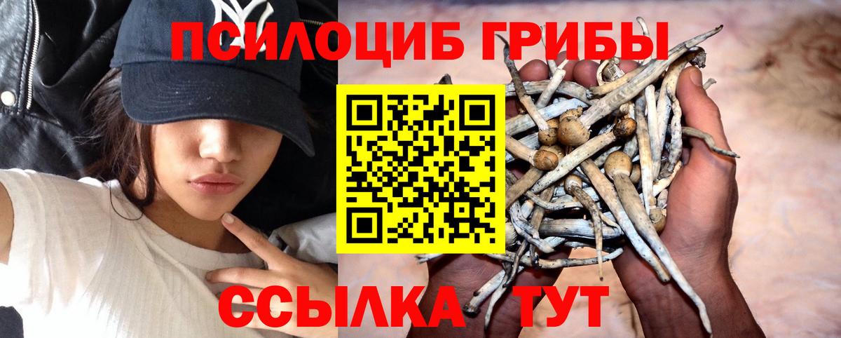 МЕФ   Конопля  Кокаин  Канабис  Вход с VPN  Таганрог  ГАШИШ  Как найти наркотики? 